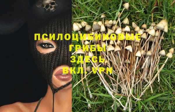 хмурый Нязепетровск