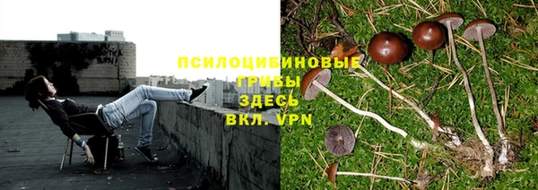 хмурый Нязепетровск