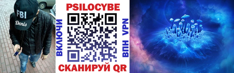 цены   Щёкино  hydra как войти  Псилоцибиновые грибы Psilocybine cubensis 